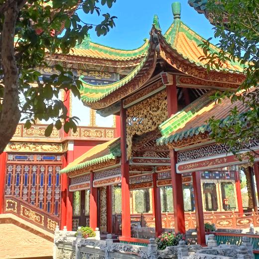 职业搬砖着