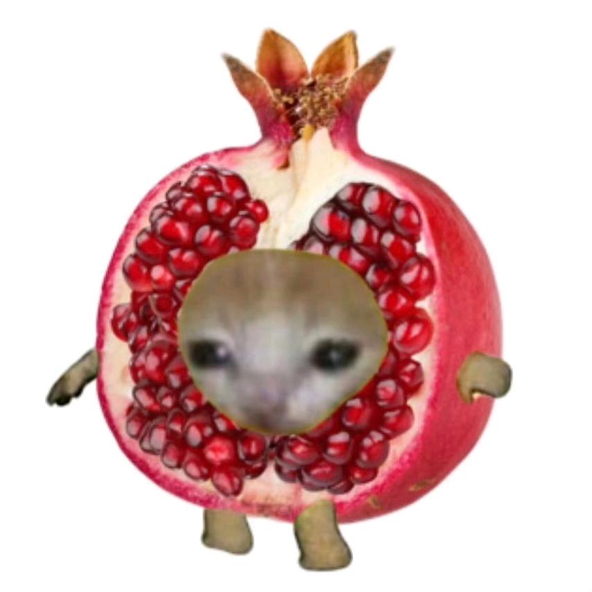 AAA批发tomato