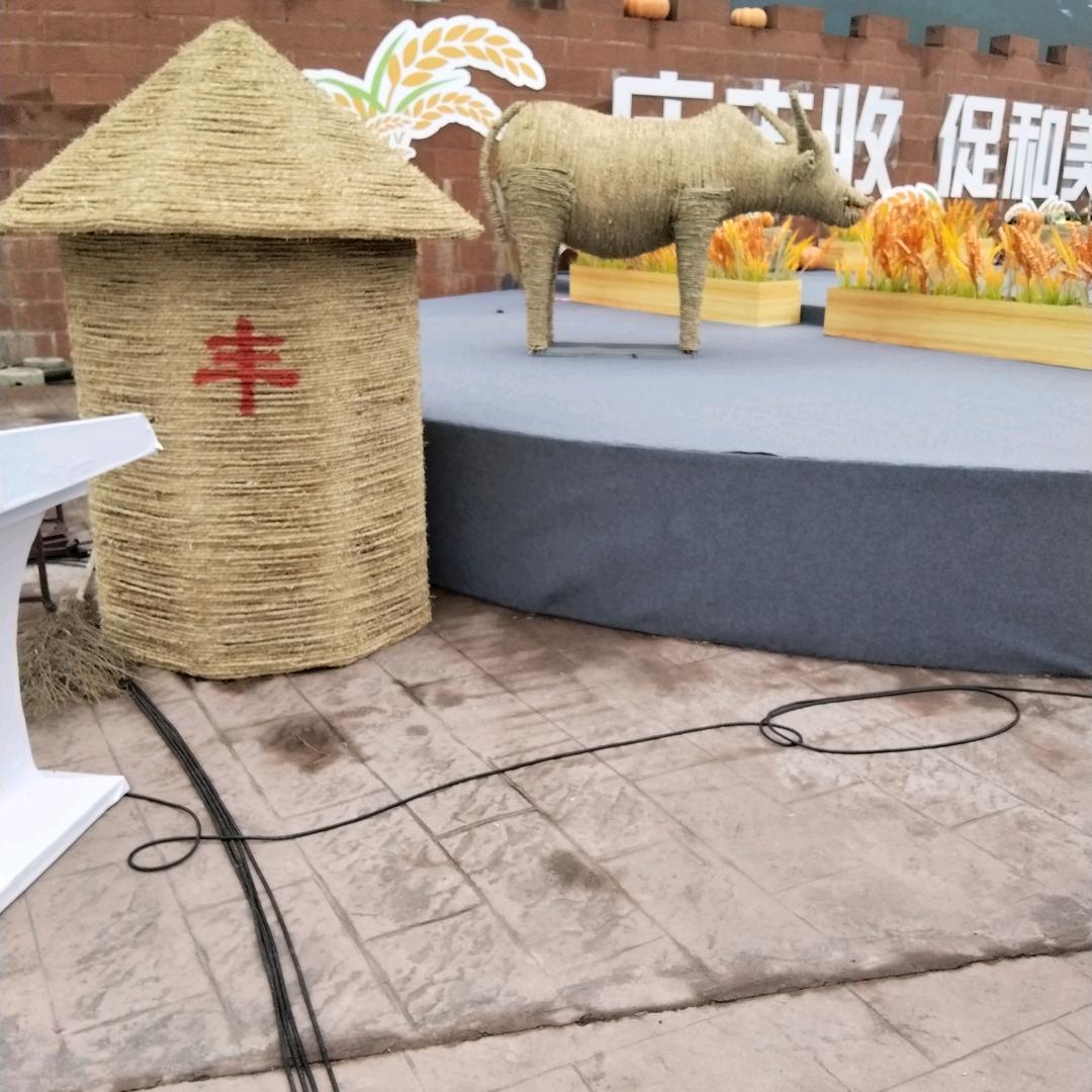 你有情我有义