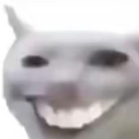 包踢的头像