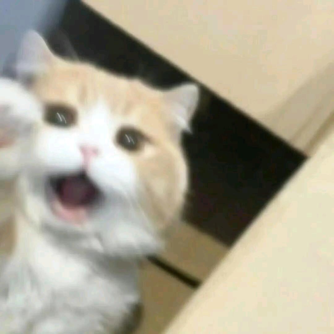 不够的不够