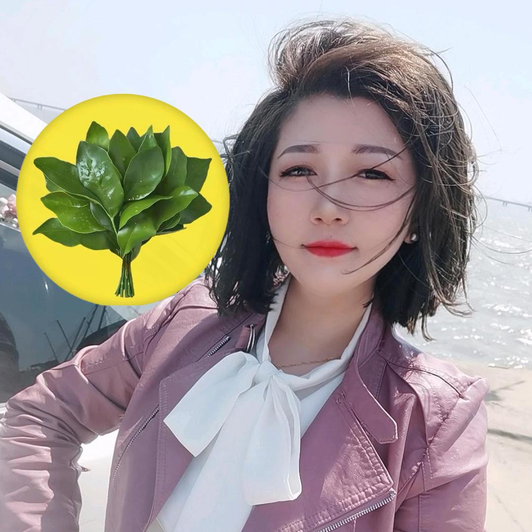 小毛豆子