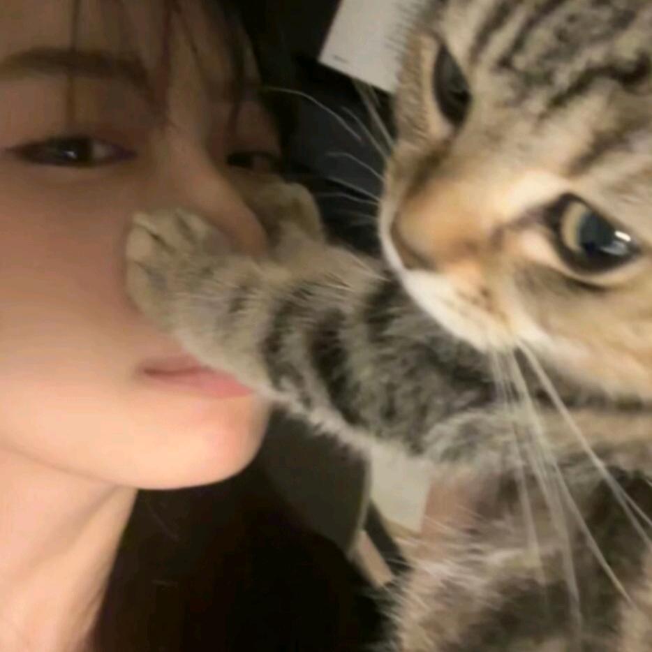 忆笙🌈