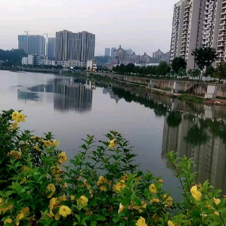 天若有情