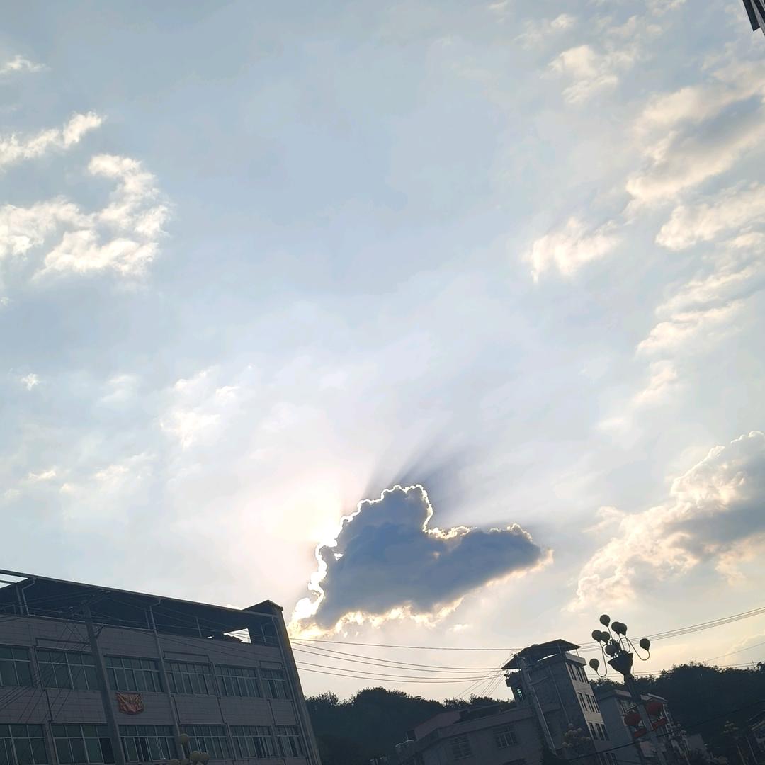 ꦿ树᭄林旳꧔ꦿ麻᭄鹊