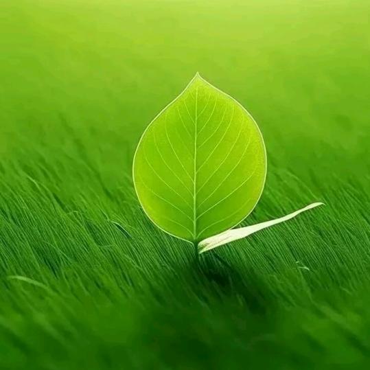 ༽༼沉༄༅默༽༼