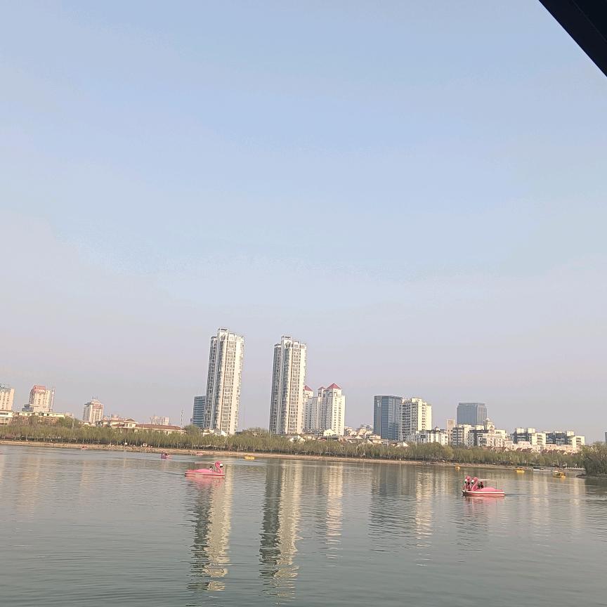 山东大哥