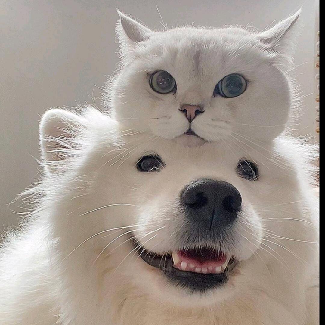 礼物生活