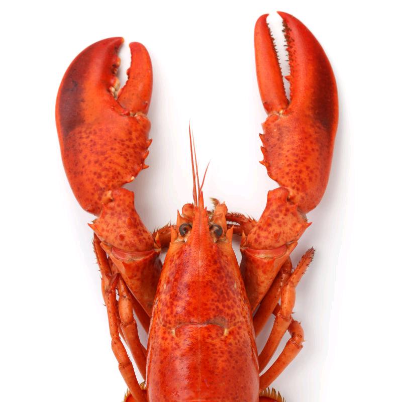 每日虾选🦐(东风大街店)