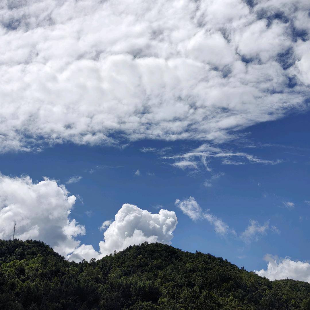 顺风顺水