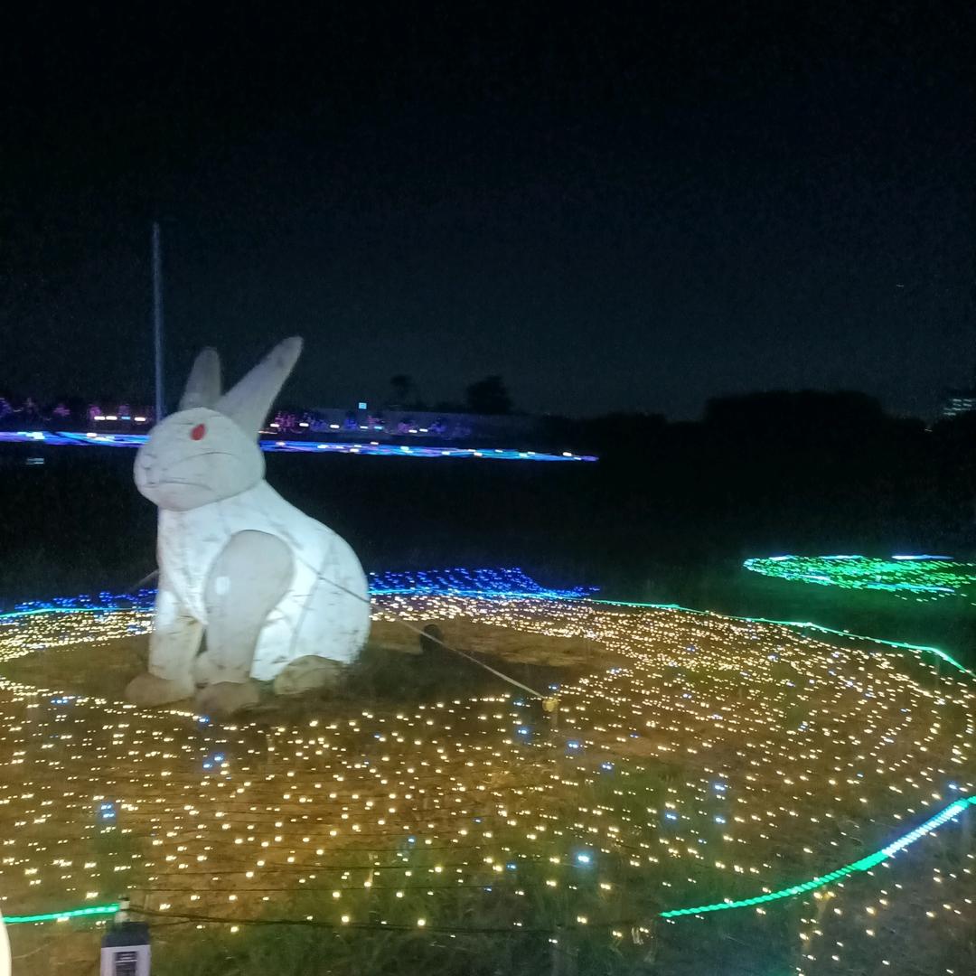 庞