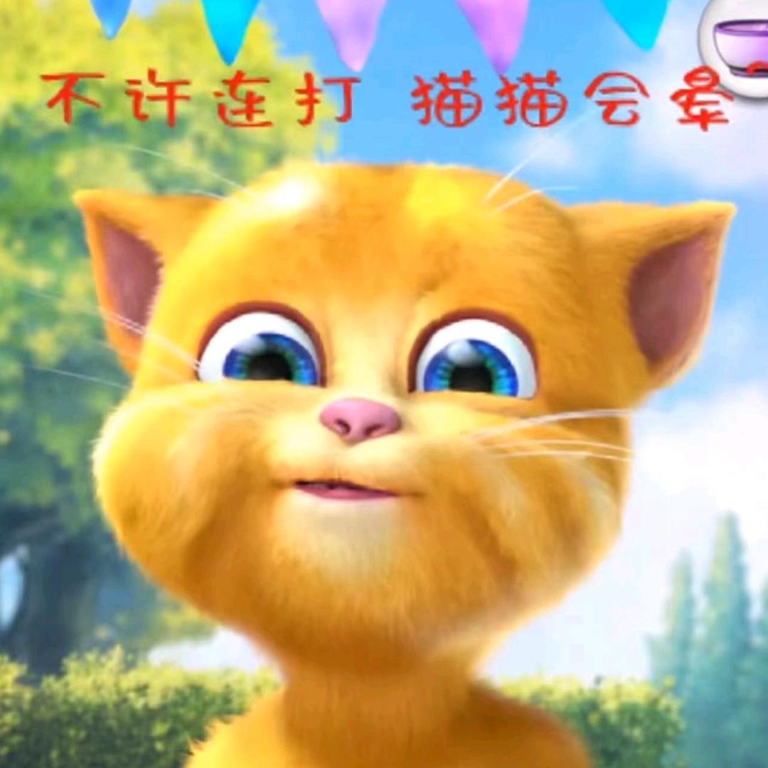 汤姆猫儿童早教