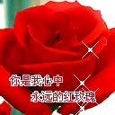 怦然星动