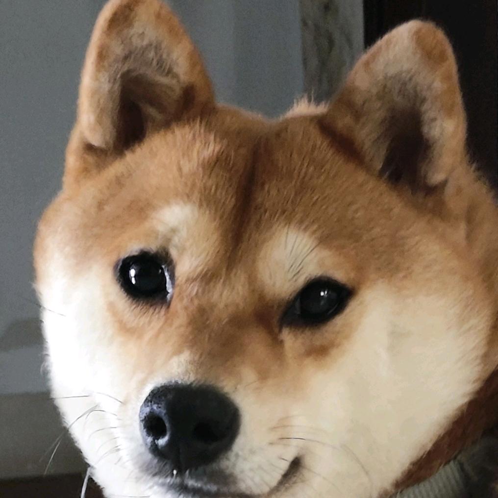 龘