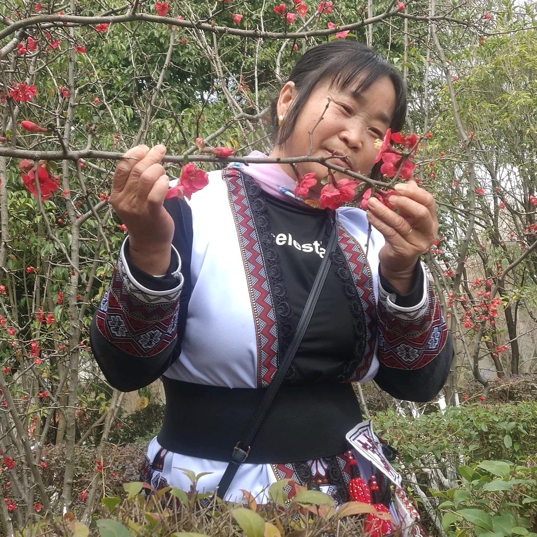 清晨