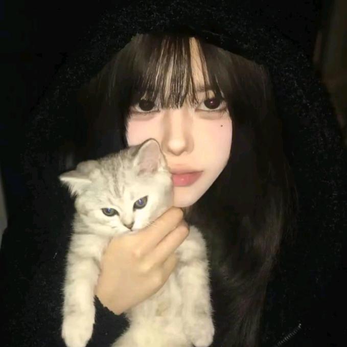 猫猫