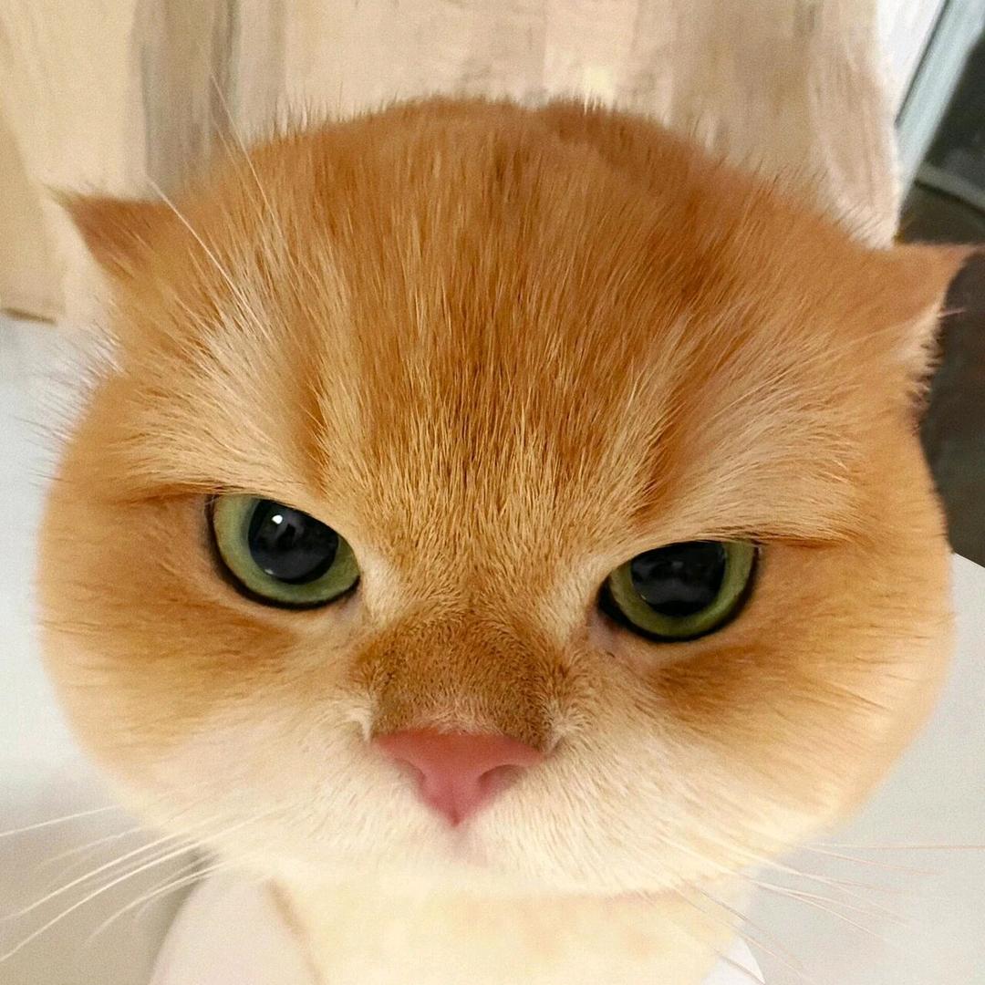 奖励一瓶百草枯