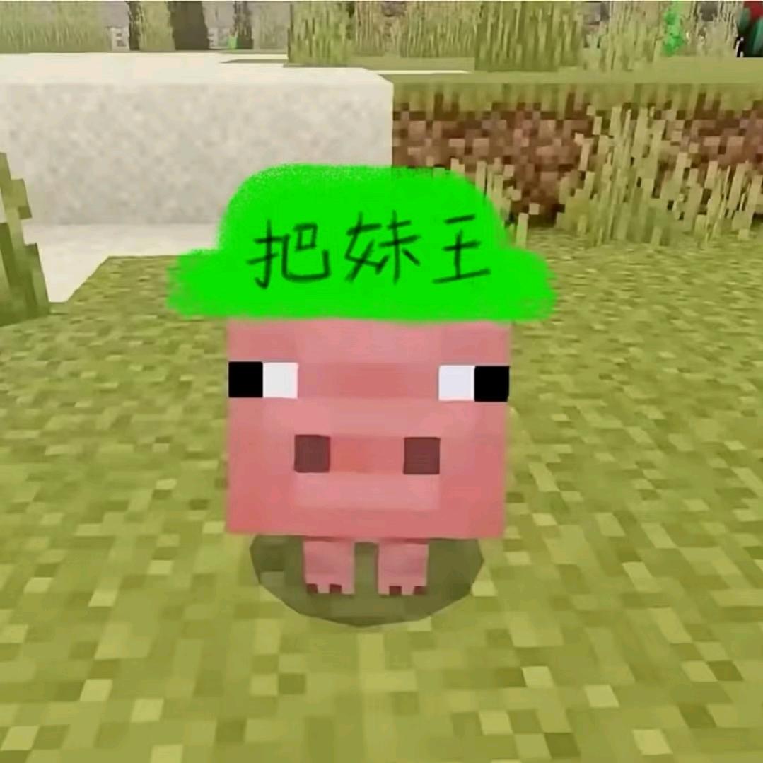 毛毛