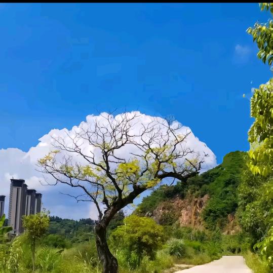 新号扶持计划（刚开始点赞加评置顶作品即可