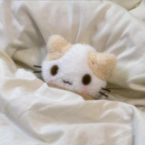 下次再见