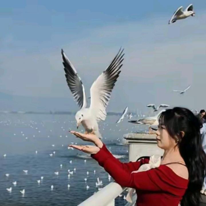 天下同心