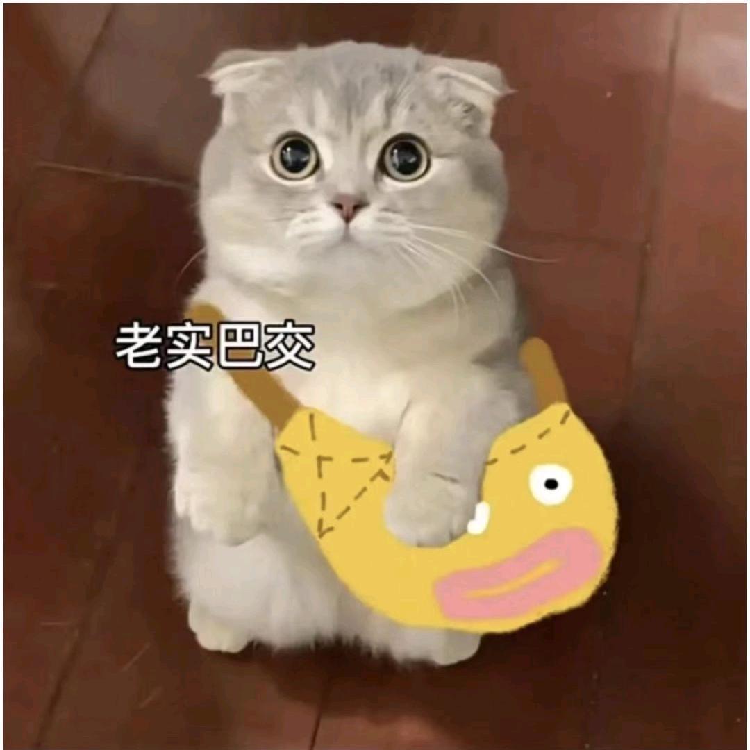 第五任魔鬼的后妈