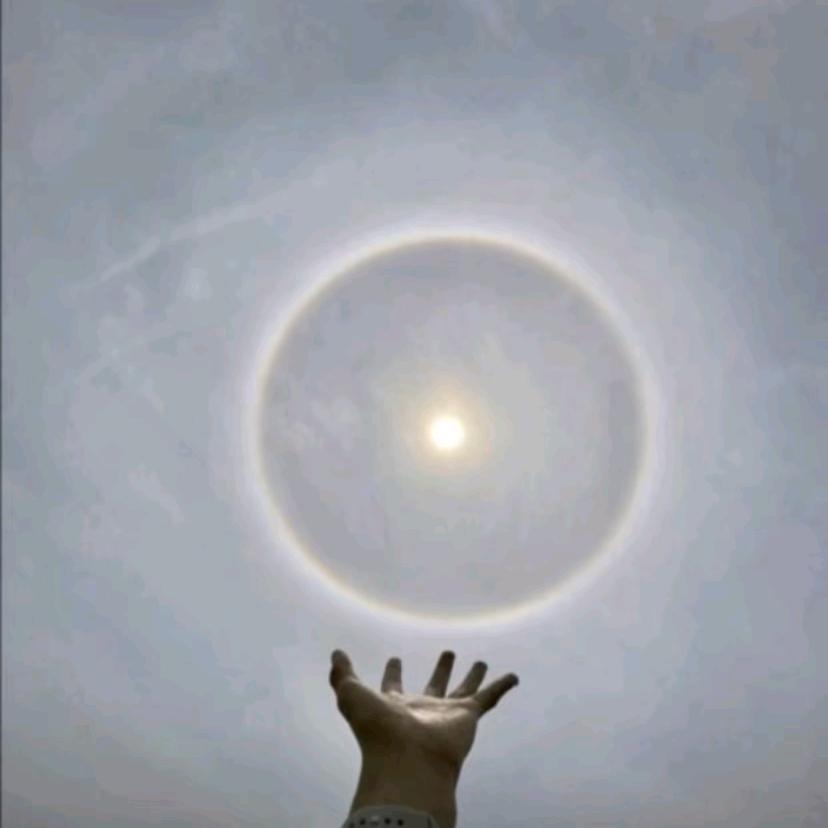 仿生人和电子蝴蝶