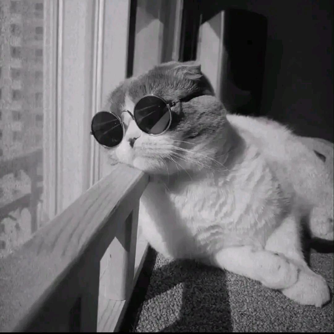 落魄书生