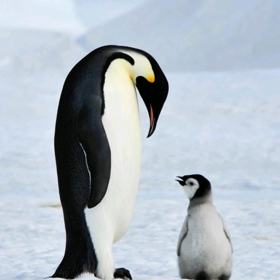 🚬ಇ᭄与࿆ྃ你໊同行࿐