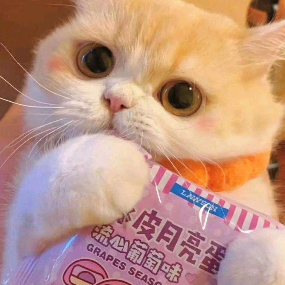 დ᭄ꦿ不吃胡萝卜🥕的兔子🐰꧔ꦿ℘⸙❤