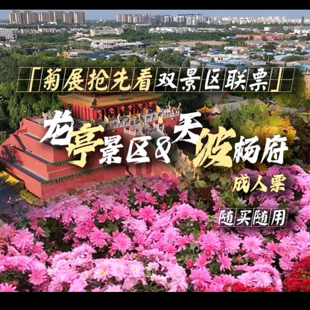 周游河南
