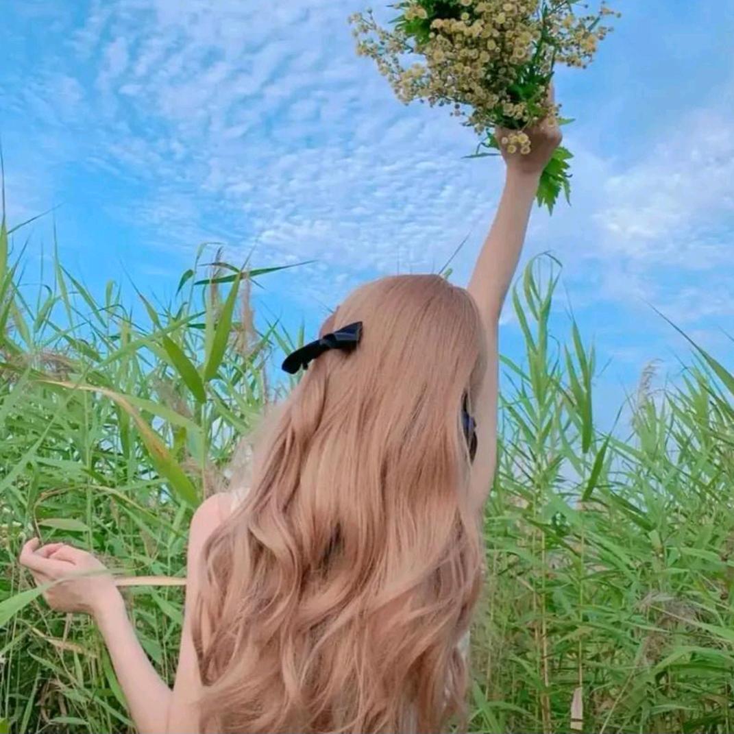 @去有风的地方