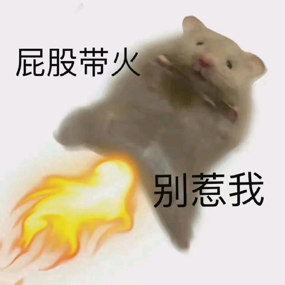 我就是大美女（范进版）