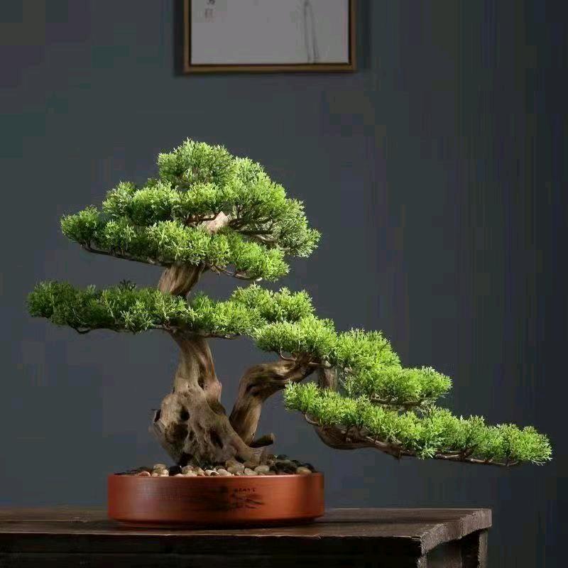 百卉赞花木