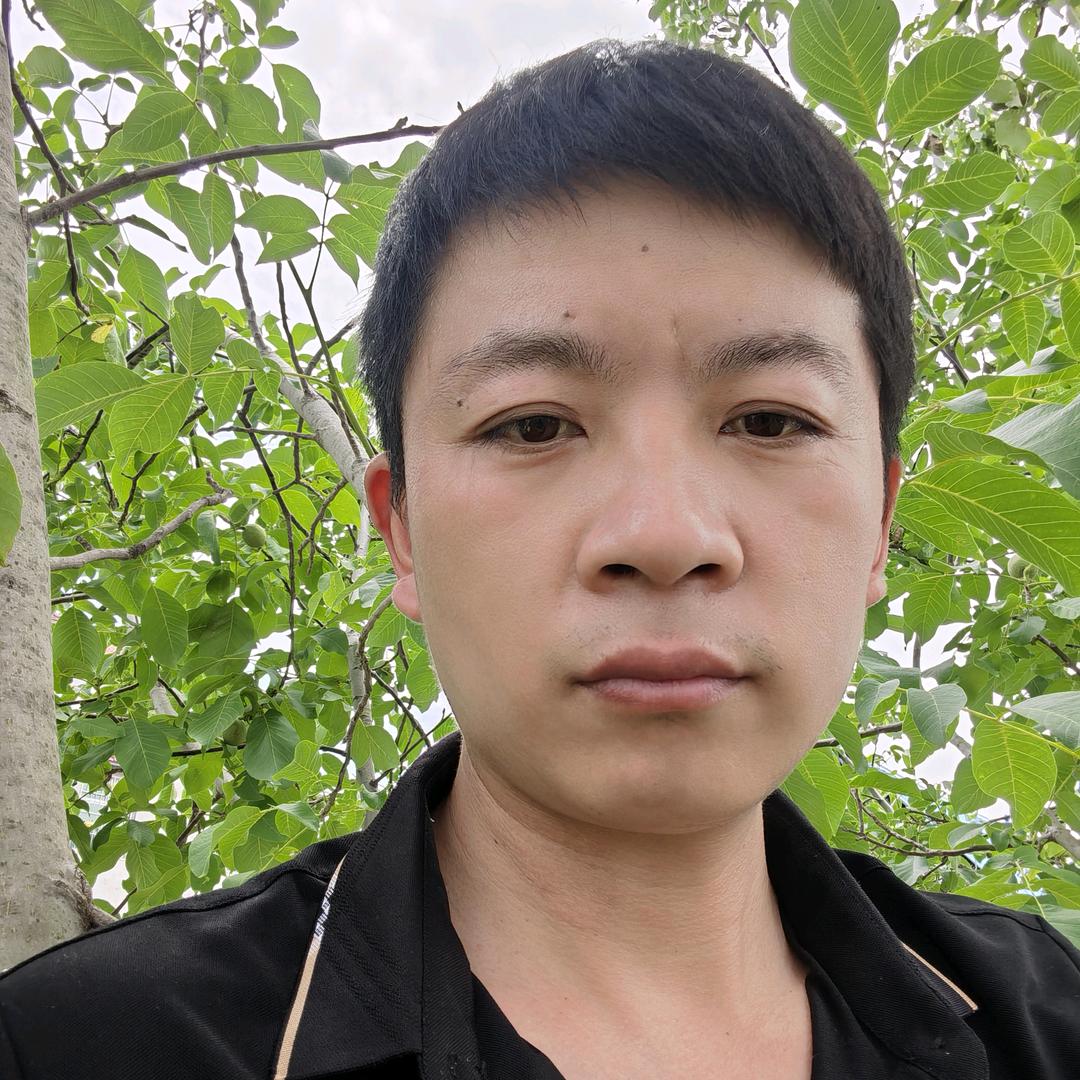 孤狼
