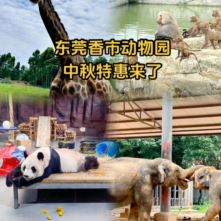 东莞香市动物园推荐官