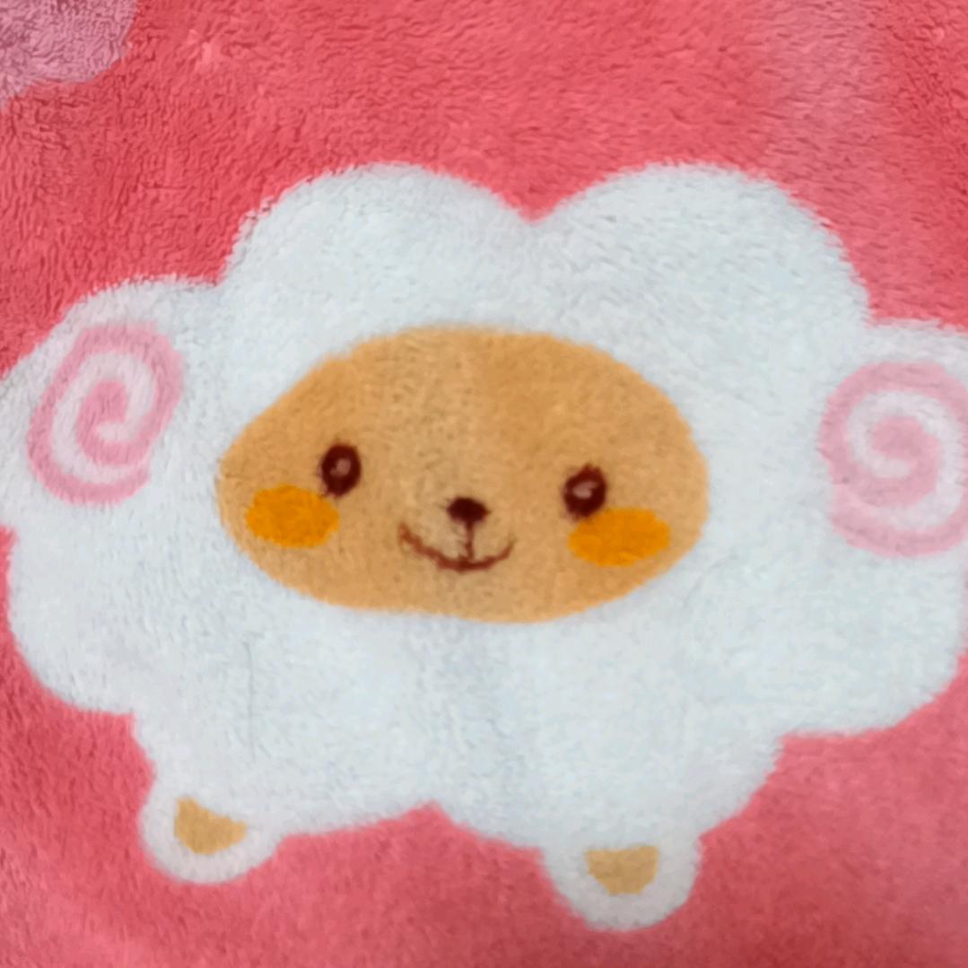 小淑