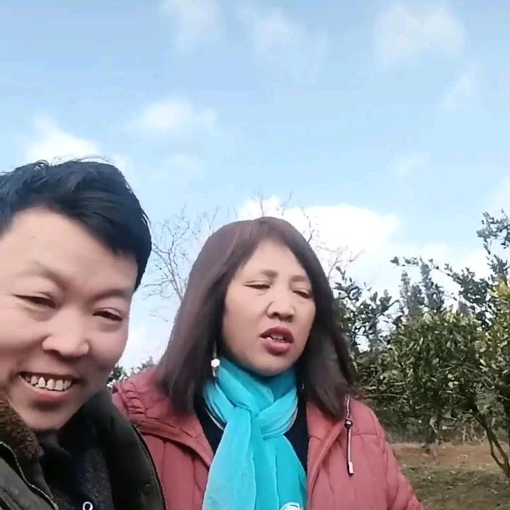 真爱一生