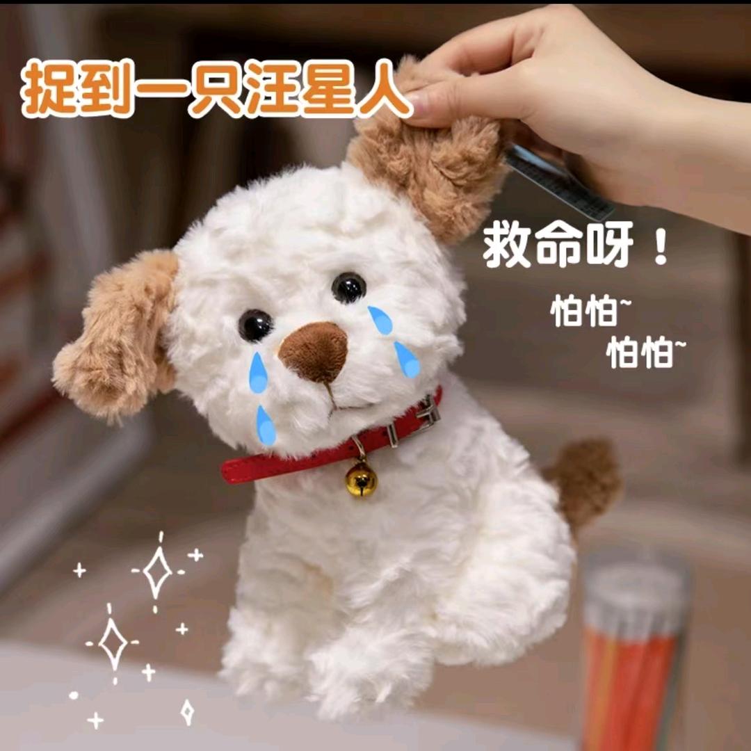 七彩毛绒玩具店