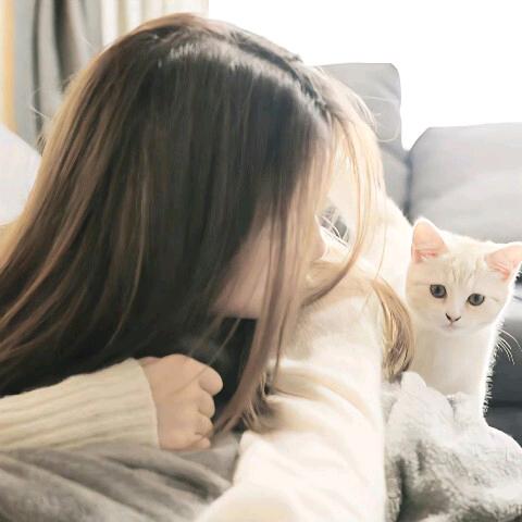 晓梦同学呀