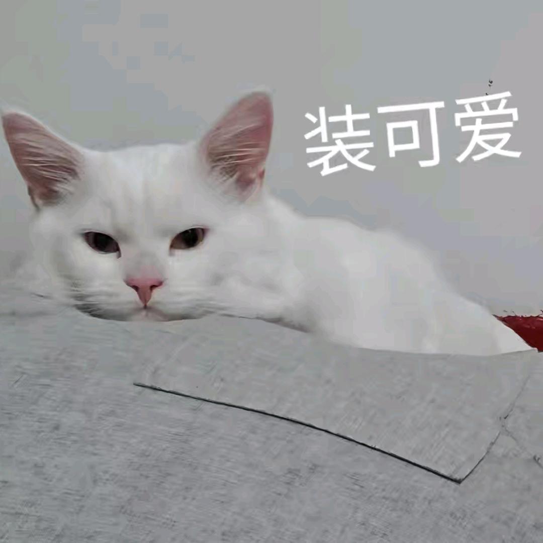 公主不是公公