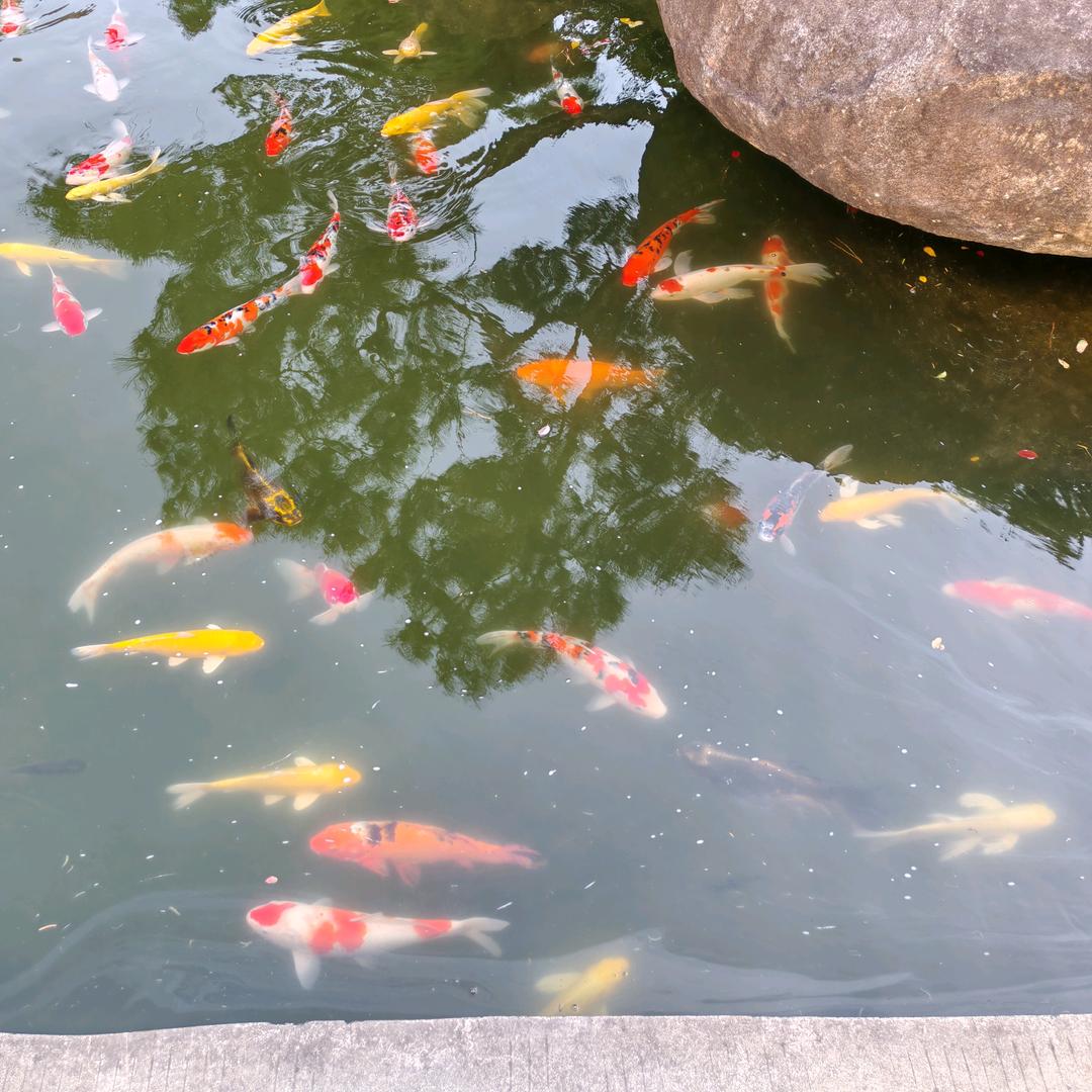 中年老年人逐渐