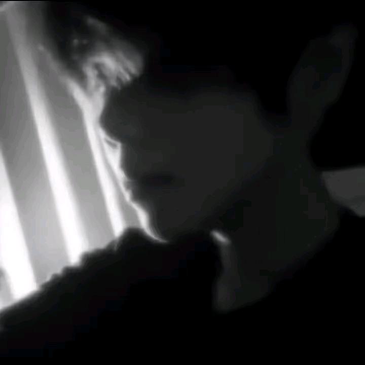 你未知的小马。头像