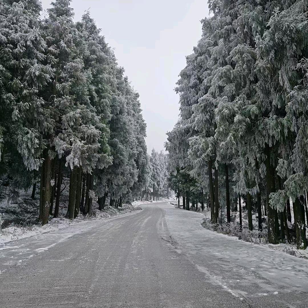 小情放下一切从新开始。