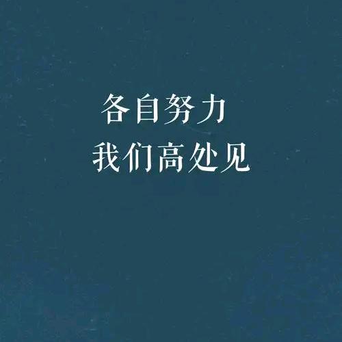 星中有梦