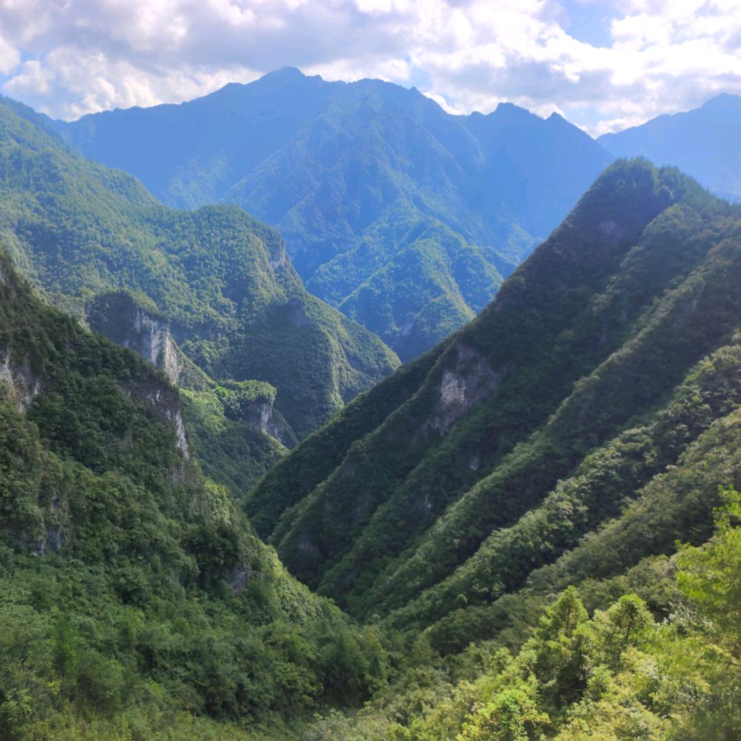 ミ你给的情、难以释怀。