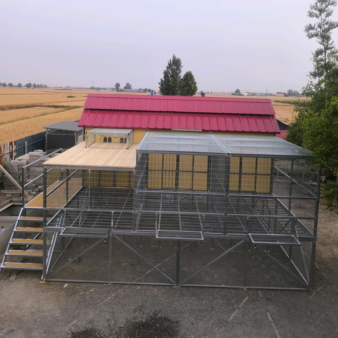 鸽之家拼装鸽舍制作与设计