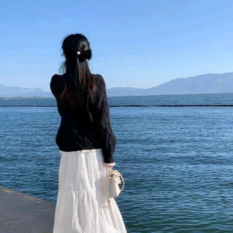 小李
