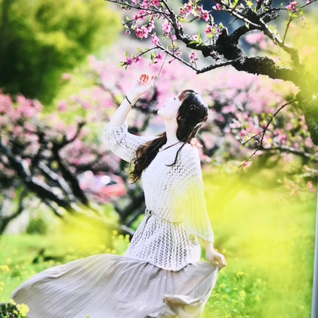 桃花小卖铺