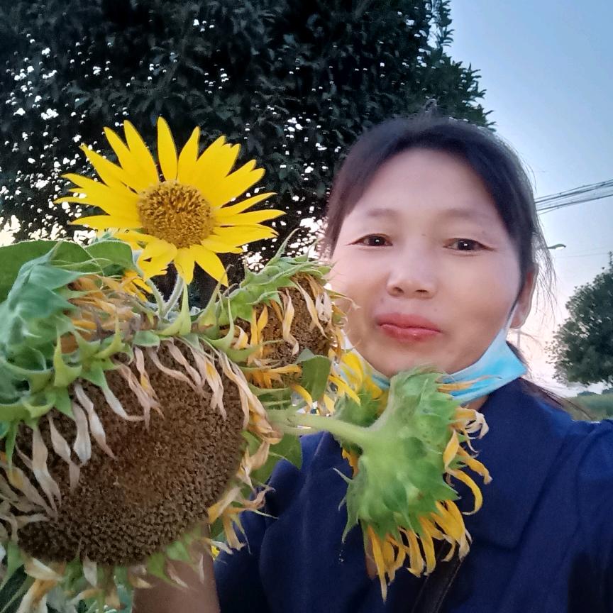 人生没有几世秋